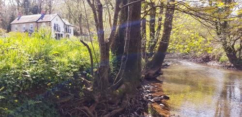 Kingsley Cottage Hotel in West Devon District