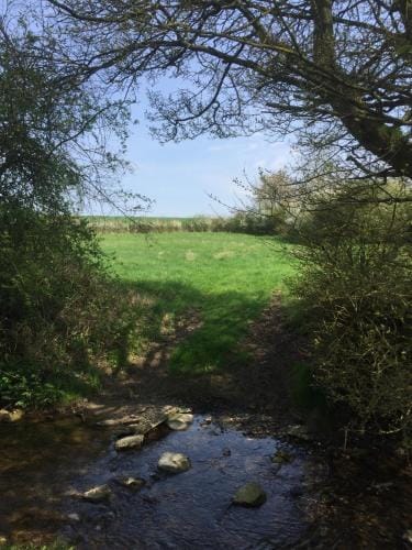 Waldegrave farm Hotel in Babergh District