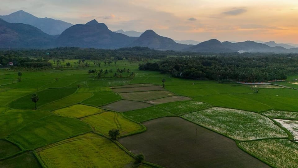Seethavanam Farmstay at Forest Edge Hotel in Kerala