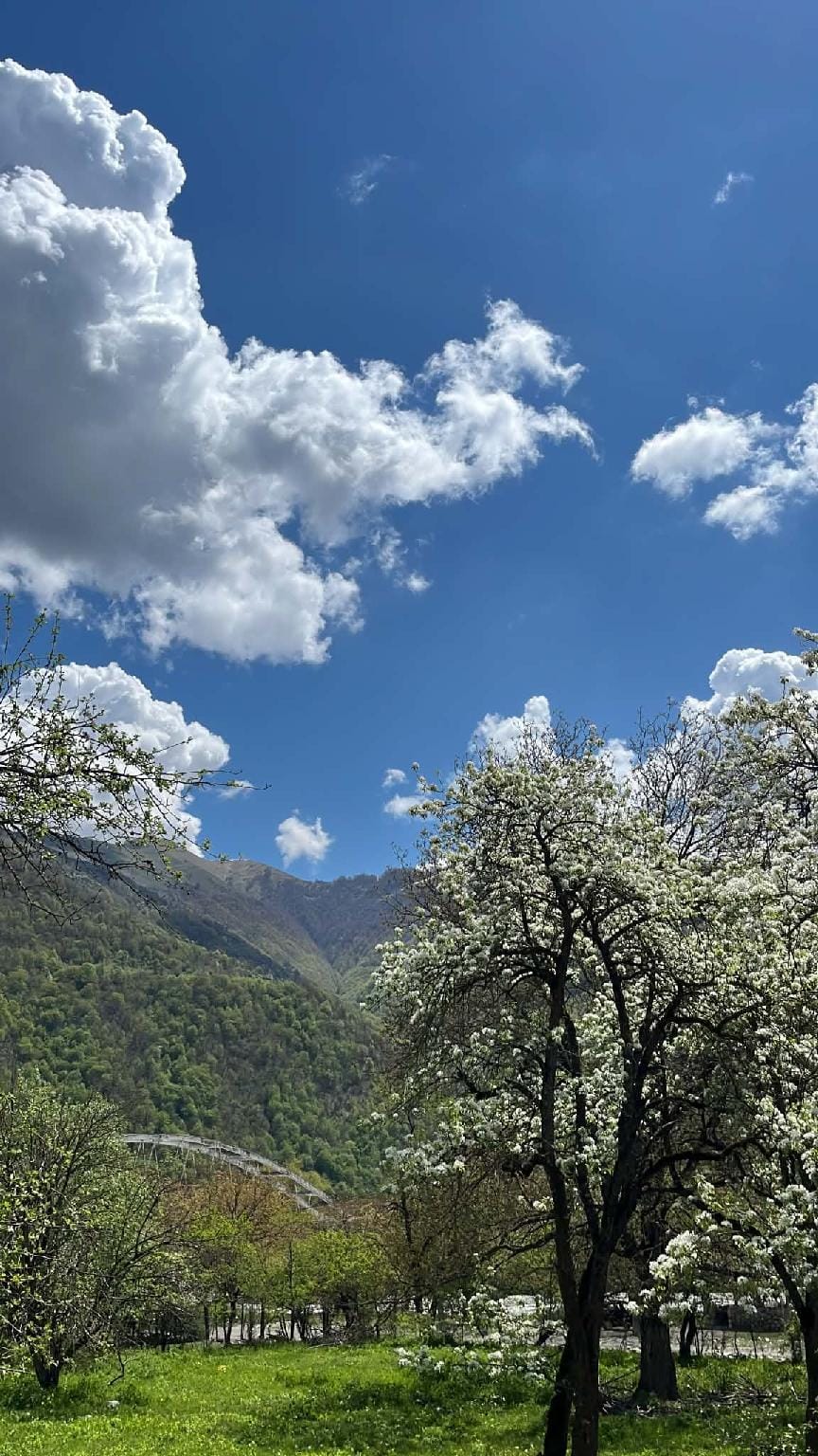 Khandosxevi Resort in Georgia