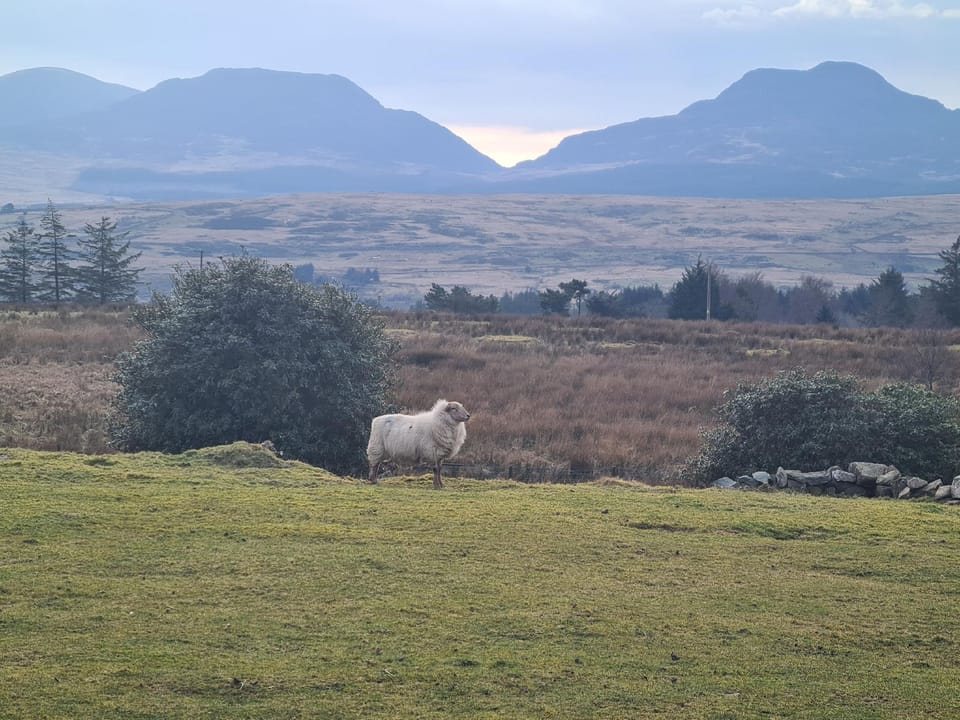 Rhiw Goch Inn Holiday Home Hotel in Trawsfynydd