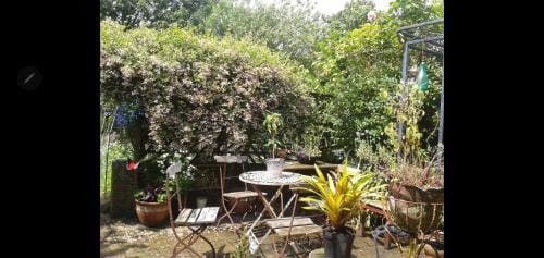 Fairhaven Bed & Breakfast Hotel in Borough of Waverley