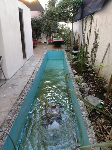 Casa Zen Inn in Pachuca