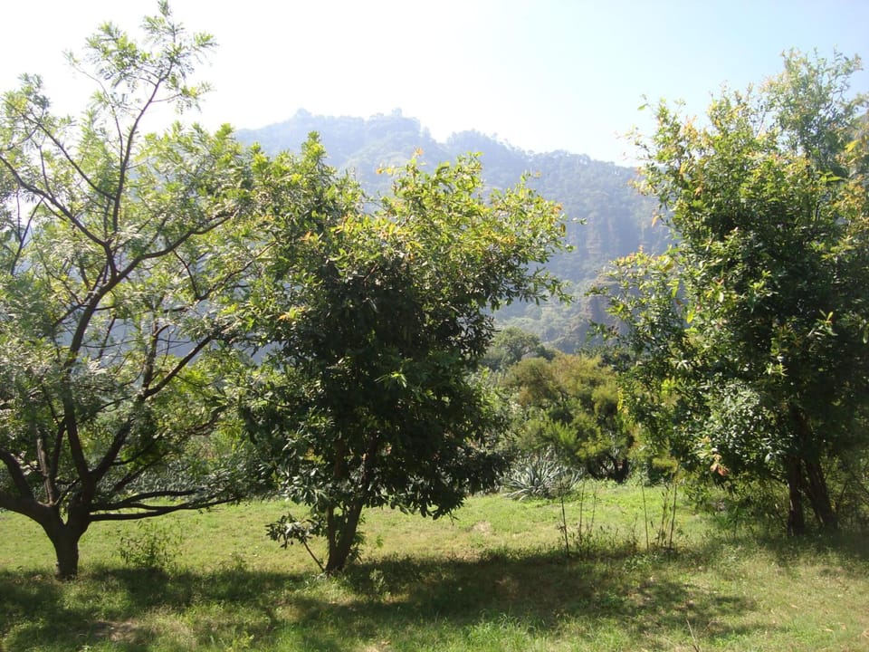 Posada Xamicalli Lodge in State of Morelos