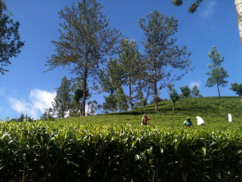 Subash Hotel Hotel in Central Province