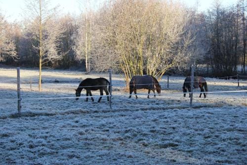 B&B Landgoed Bergerven Hotel in Limburg (province)