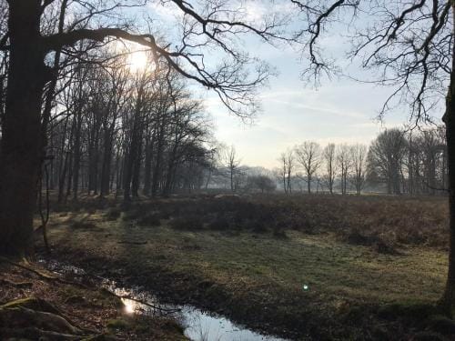 De Kempse Hoeve B&B Hotel in North Brabant (province)