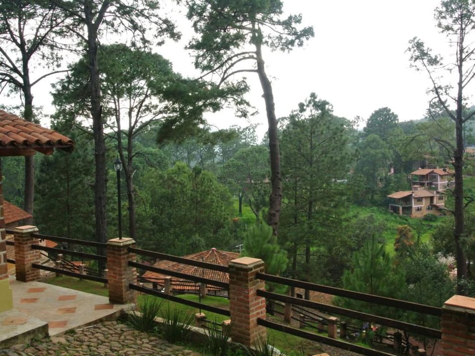Bosque La Luna Lodge in State of Michoacán