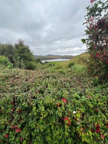 The Cornish House Hotel in Scotland
