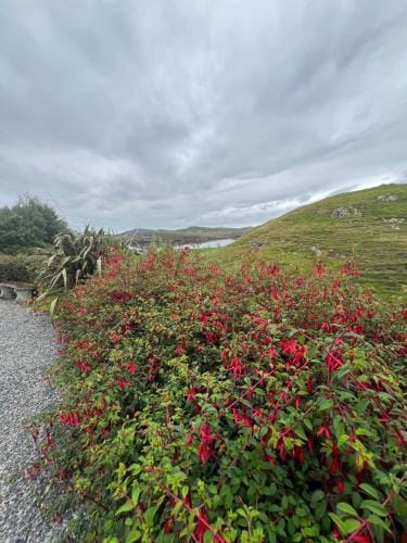 The Cornish House Hotel in Scotland
