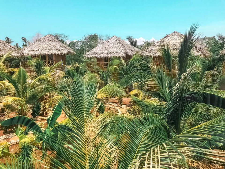 Mandala Tribe Treehouses Hotel in Siquijor