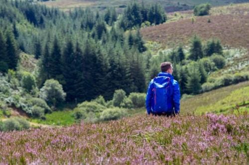 Simply Stay Hotel in Northern Ireland