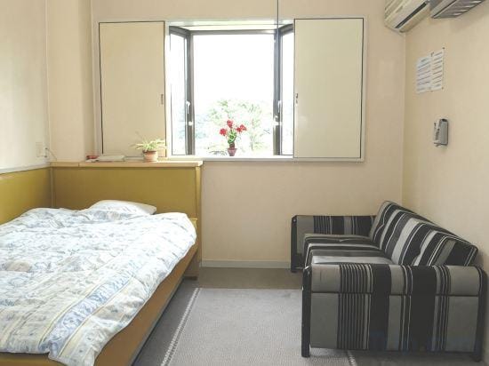 Ishibashi Business Hotel Hotel in Japan