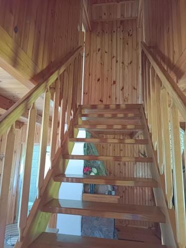 Domek caloroczny MARKO Lodge in Lithuania