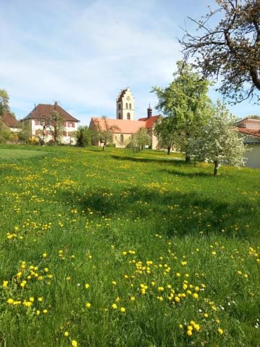 Pension zur frohen Einkehr Hotel in Baden-Württemberg