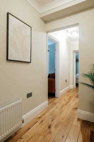 Charming Notting Hill Basement Flat with Garden Hotel in City of Westminster