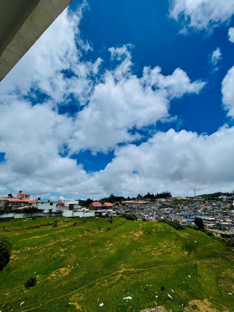 NPJ By SLiver Oak Resorts Hotel in Ooty