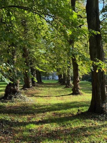 Logies Het Koetshuis Hotel in Flanders