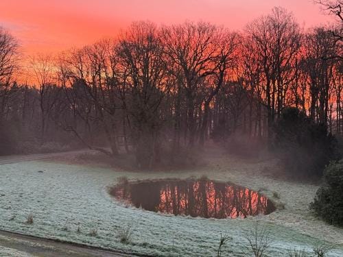 Logies Het Koetshuis Hotel in Flanders