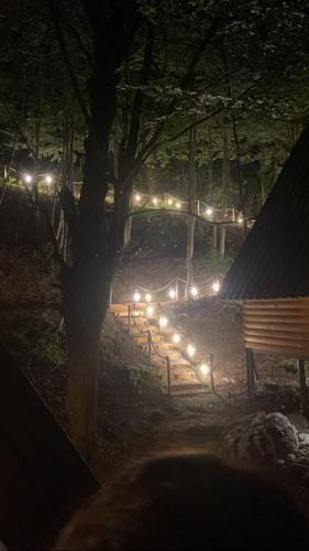 Forest Escape Hotel in Montenegro