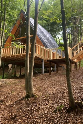 Forest Escape Hotel in Montenegro