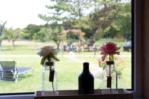 Little Creek - Lodges in het natuurgebied Lodge in Renesse