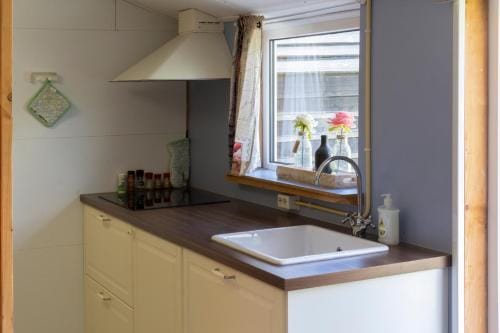 Little Creek - Lodges in het natuurgebied Lodge in Renesse