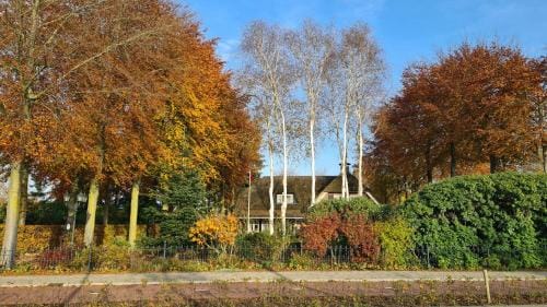 B&B De Zeven Berken Hotel in Limburg (province)