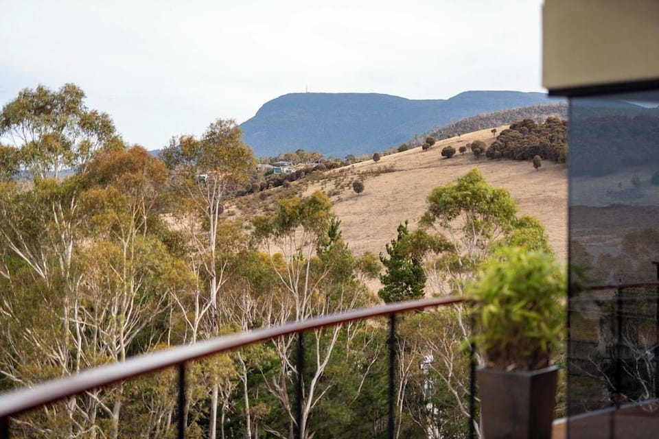 Tree Top Views - 4 Bedroom House Hotel in Glenorchy