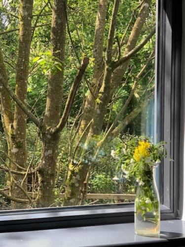 Alder Cabin Lodge in Kilkenny City