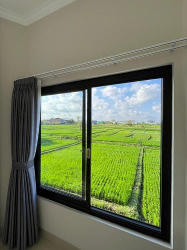 Padi Breeze Guesthouse Pererenan Bali Hotel in Kediri