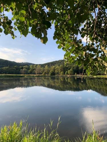 Chez Burons&Bouchons, Le Refuge Gourmand et Authentique Hotel in Auvergne-Rhône-Alpes