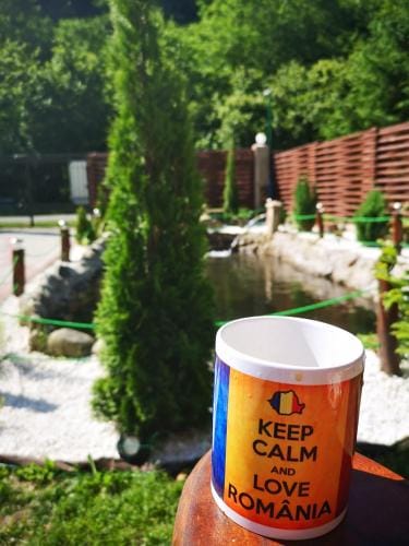 Cabana FARIO Rau Mare - Retezat Lodge in Serbia