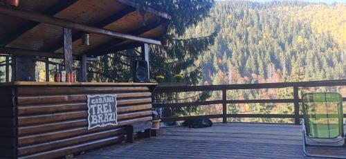 Cabana "Trei Brazi " Retezat Lodge in Serbia