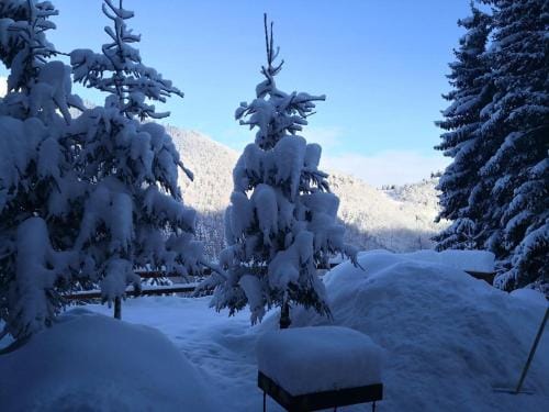 Cabana "Trei Brazi " Retezat Lodge in Serbia