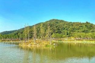 Jingliang Homestay Hotel in Hangzhou