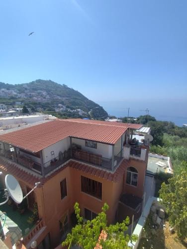 Casa Pesce Rooms Rent Hotel in Barano d'Ischia