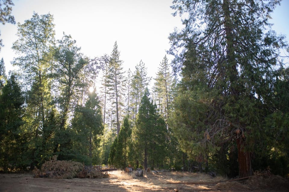 Tiny Blue at Yosemite Gateway Lodge in Tuolumne County