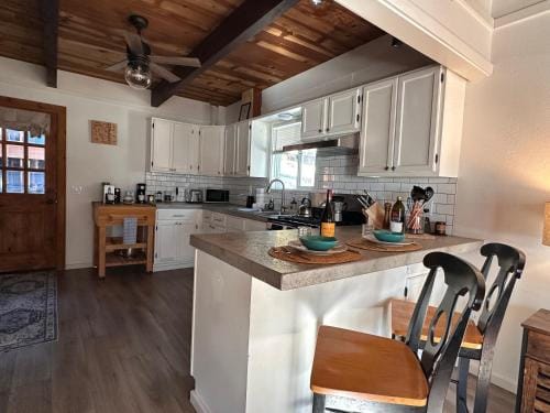 Red Cedar Cabin Hotel in Tahoe City