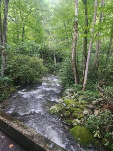 Westgate Resorts Resort in Gatlinburg