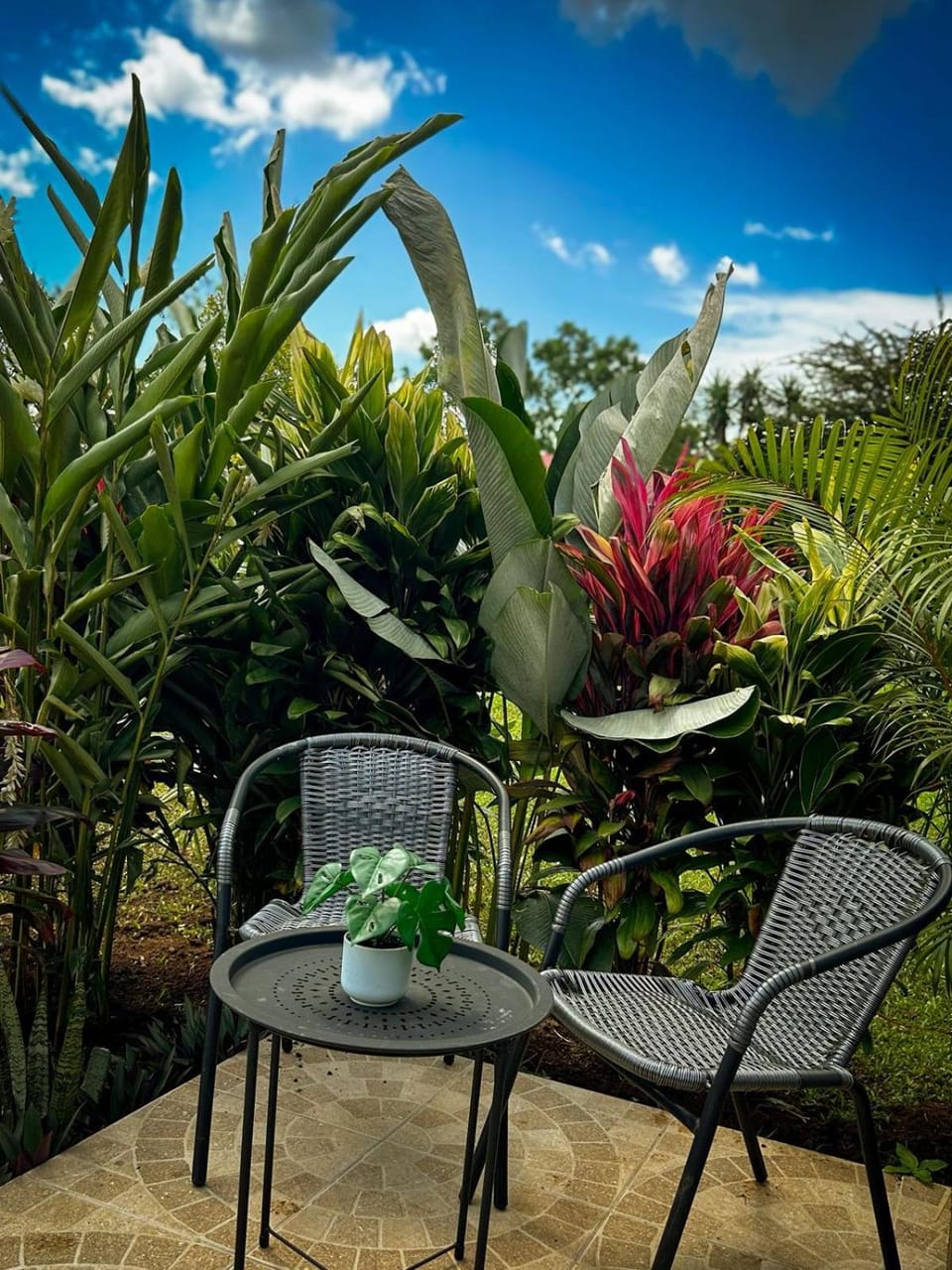 Tilawa La Fortuna Glamping Capsule hotel in Alajuela Province