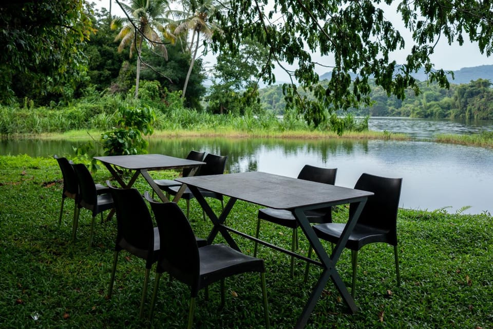 The Nest Thattekad Hotel in Kerala