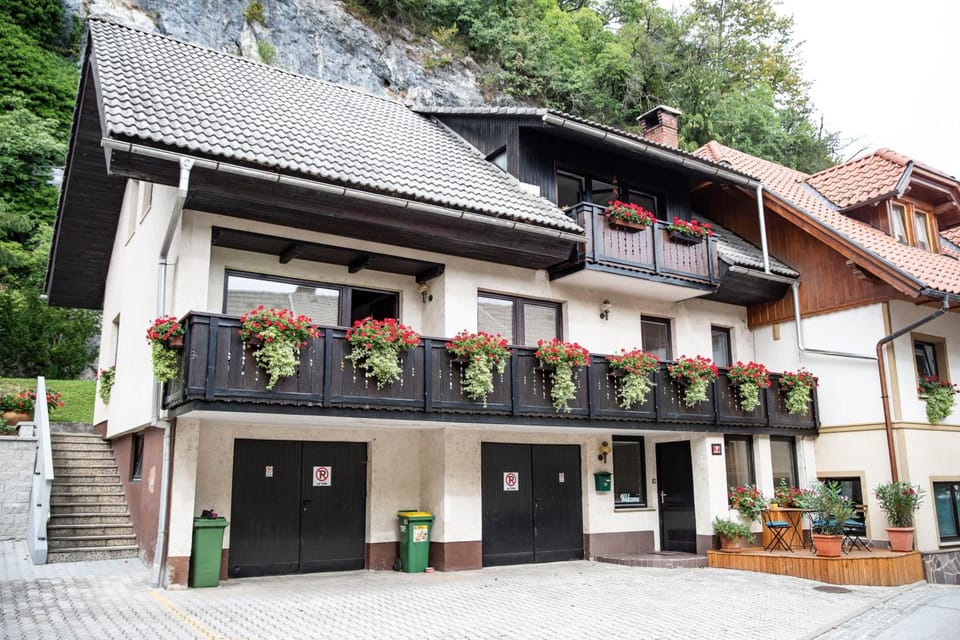 Castle way Apartments Tamy Hotel in Bled