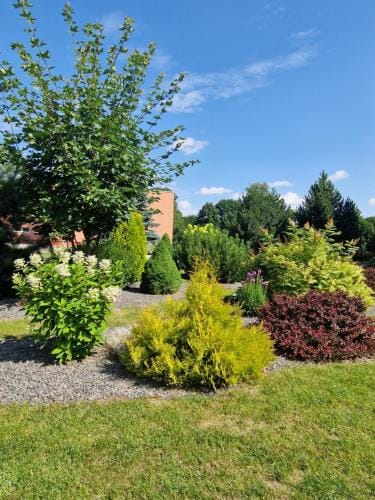 Kambariu nuoma Zeimelyje Hostel in Lithuania
