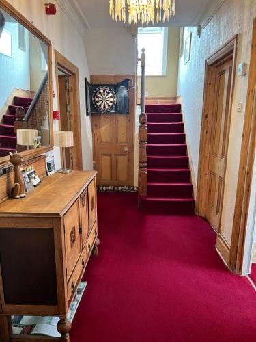 Brantwood Guest House Hotel in Christchurch