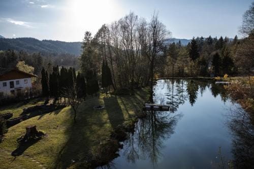 Vellach Lodge Lodge in Carinthia, Austria