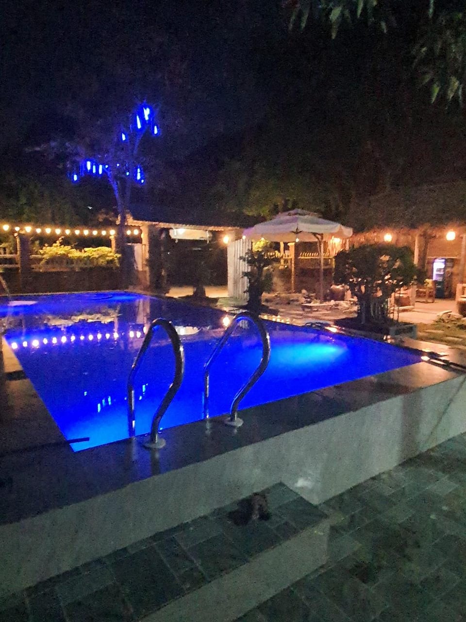 MELLOWMOO Homestay  Apartment hotel in Laos