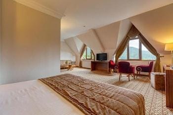 Buyuk Abant Oteli Hotel in Ankara Province
