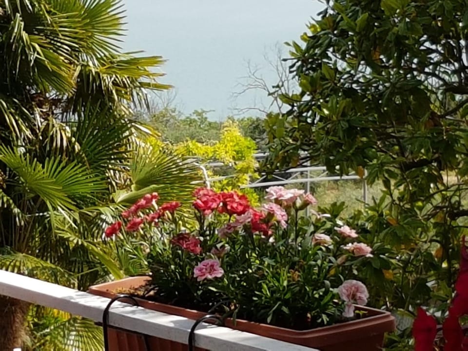 Antica casa di famiglia Hotel in Castiglione del Lago