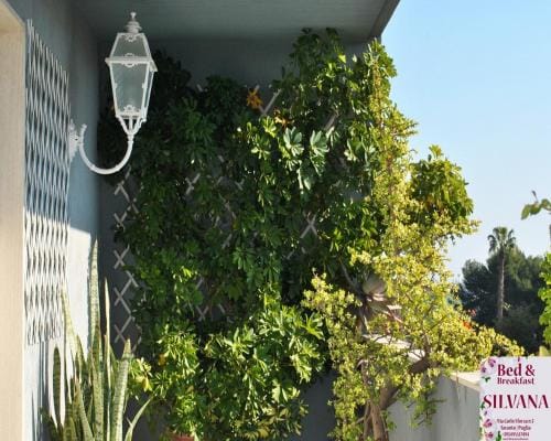 Bed and Breakfast Silvana Hotel in Province of Taranto